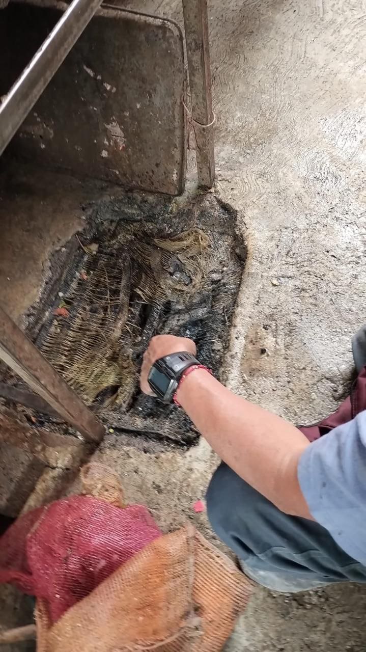 ...